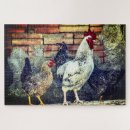 Buscar gallinas puzzles Rústico