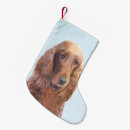 Buscar irlandés calcetines navideños Perro