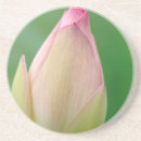 Buscar bombillas posavasos Flor