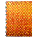 Buscar apicultura cuadernos Colmenar