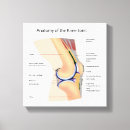Buscar anatomía humana lienzos Salud
