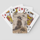Buscar bebé barajas de cartas Vida silvestre