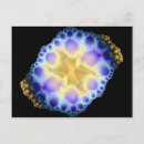 Buscar erizo de mar postales Océano