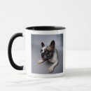 Buscar pequeño perro tazas El acostarse