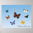 Buscar diversidad posters Amor
