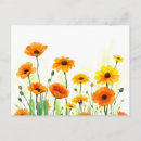 Buscar praderas de postales Flor silvestre