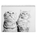 Buscar mascota calendarios 9 º gata