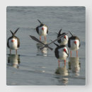 Buscar la playa relojes de pared Para ella