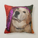 Buscar bola de cristal cojines Adivino