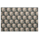 Buscar golden retriever telas Cachorro