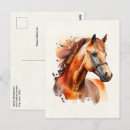 Buscar caballo hermoso postales Salvaje