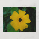 Buscar susan postales Naturaleza