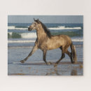 Buscar andaluz puzzles Playa