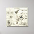 Buscar islas canarias lienzos Tenerife