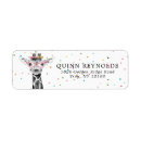 Buscar safari etiquetas Zoológico