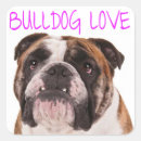Buscar bulldog inglés pegatinas Cachorro