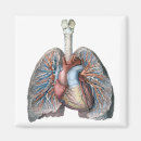 Buscar pulmones imanes Médico