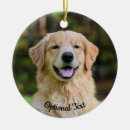 Buscar lindo mutt Animal