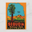 Buscar sequoia national park postales Secuoia