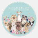 Buscar dog pet postales Dogs