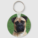 Buscar bullmastiff llaveros Perros