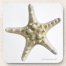 Buscar estrellas posavasos Criaturas del sealife
