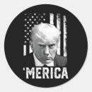 Buscar antifascista pegatinas Bernie sanders