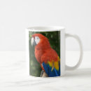 Buscar macaws tazas Naturaleza