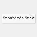 Buscar snowbirds Pájaros de nieve