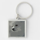 Buscar pomeranian accesorios Perritos