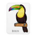 Buscar tucan imanes Toscano