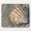 Buscar seashells alfombrillas de raton Tropical