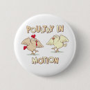 Buscar aves de corral chapas Pollos