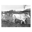 Buscar agricultura fotografía Casa de campo