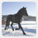 Buscar caballo pegatinas Sudar