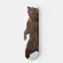Buscar oso tablas de skate Naturaleza