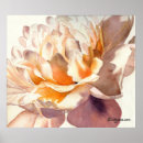 Buscar peony posters Acuarela