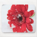Buscar gerbera alfombrillas de raton Rojo