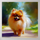 Buscar pomerania posters Perro