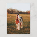 Buscar pintura del caballo postales Pinto