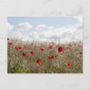 Buscar picardía postales Naturaleza