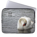 Buscar muda fotografía Cisne mudo