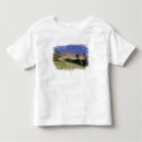 Buscar carcassonne camisetas Europa