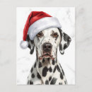 Buscar navidad dálmata postales Festivo