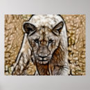 Buscar animales grandes posters Gatos salvajes
