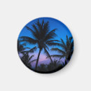 Buscar palmera tropical imanes Puesta de sol