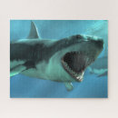 Buscar tiburones puzzles Océano