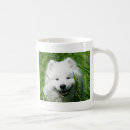 Buscar samoyedo tazas Blanco