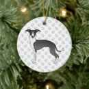 Buscar galgo adornos Perro