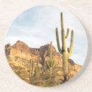Buscar seco piedra Cactus